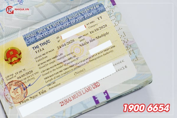 Visa Việt Nam có bao nhiêu loại?